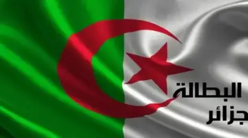 جدد قبل الإنتهاء..رابط تجديد منحة البطالة في الجزائر 2024 وأهم الشروط